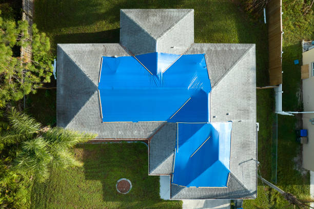 Best Roof Maintenance and Cleaning  in Glen Allen, VA