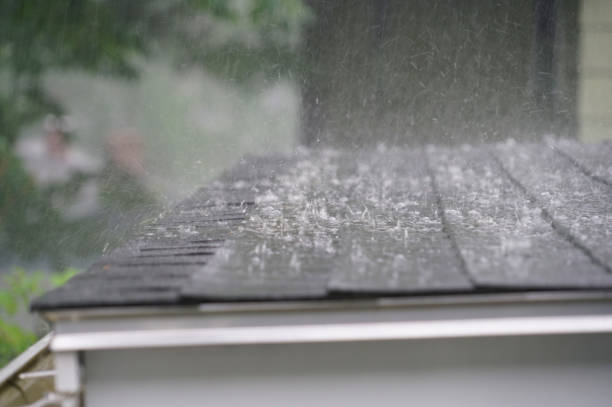 Best Rubber Roofing (EPDM, TPO)  in Glen Allen, VA